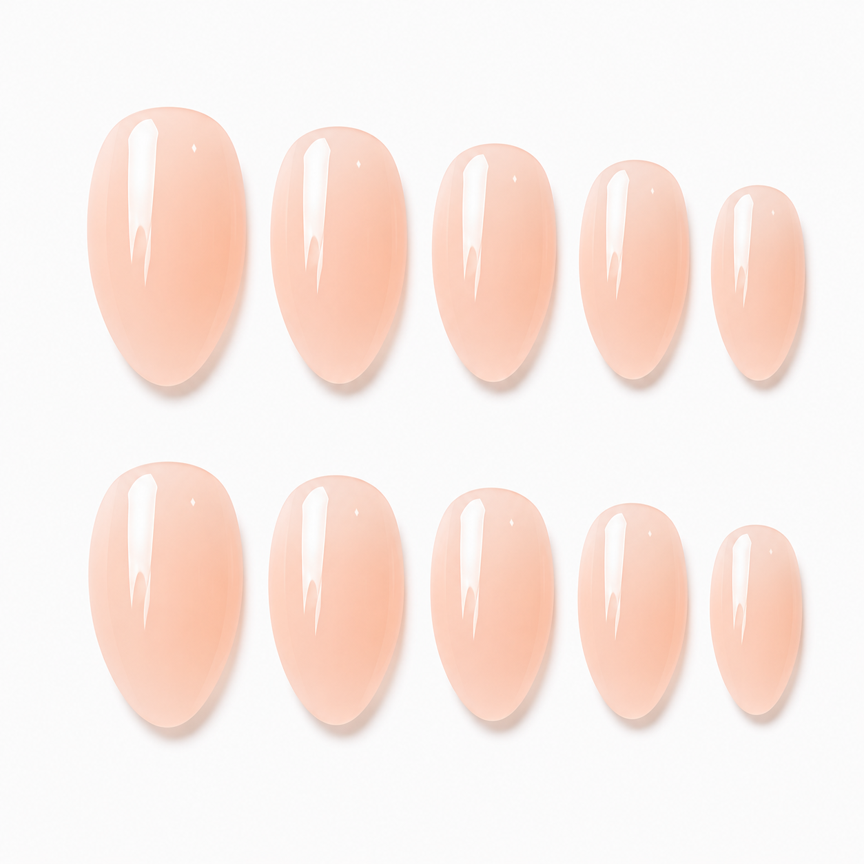 The Everyday Jelly